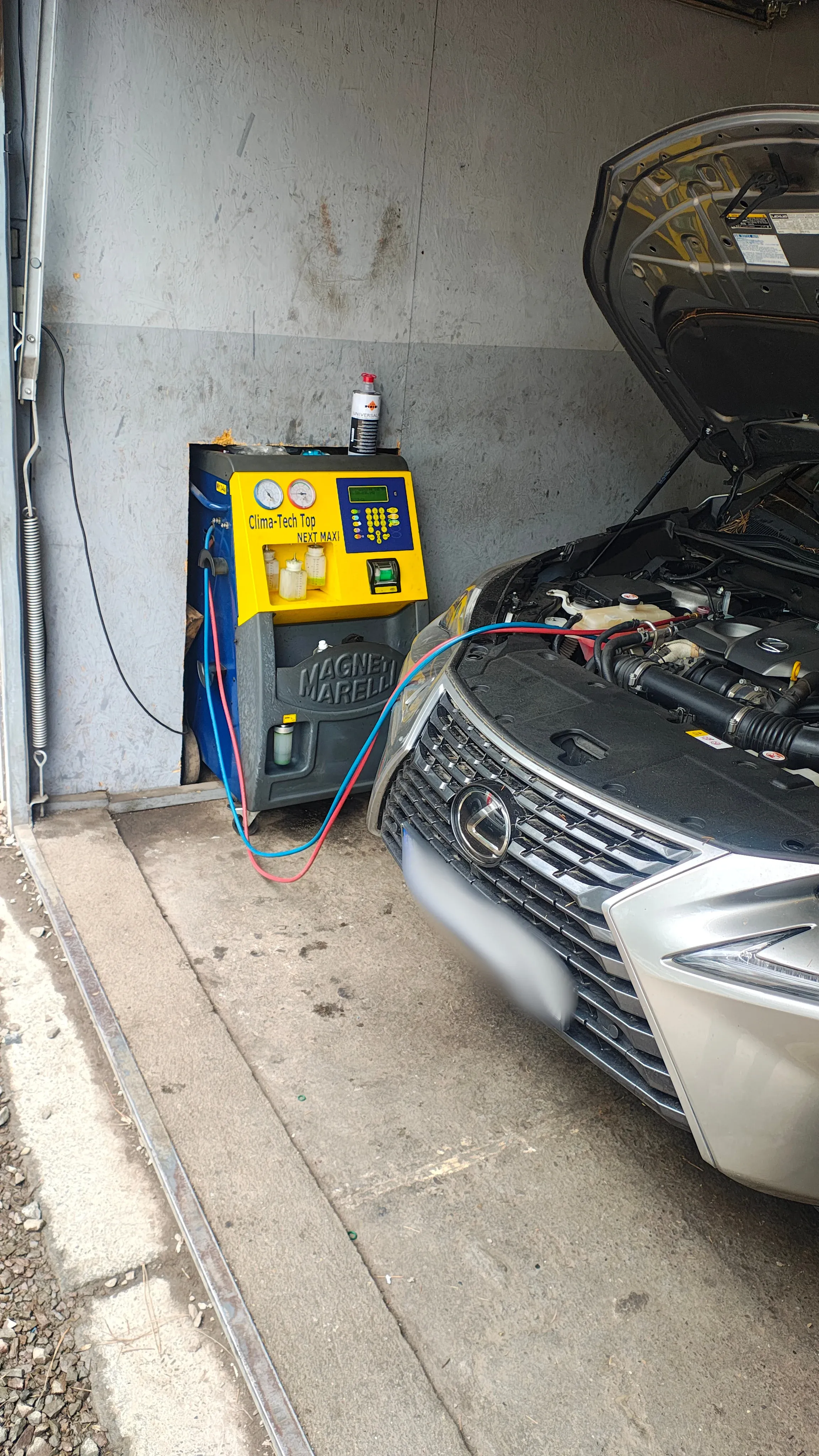 Galeria - zdjęcie 15