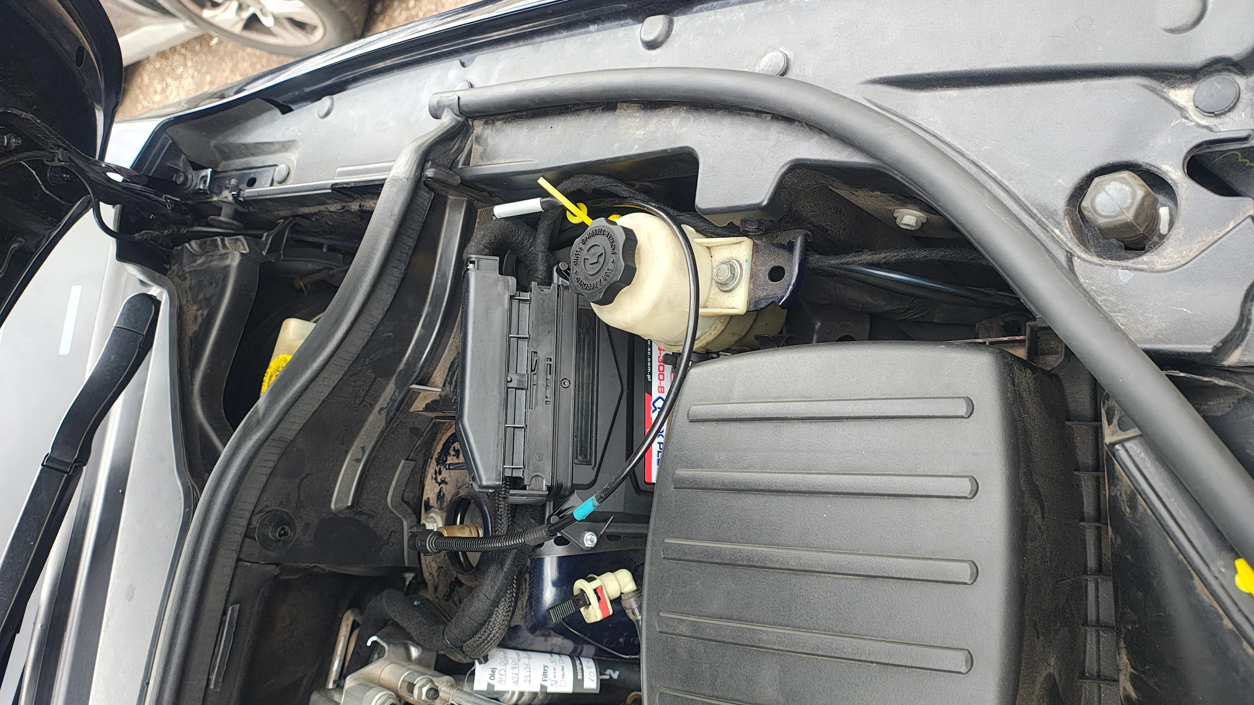 Galeria - zdjęcie 7